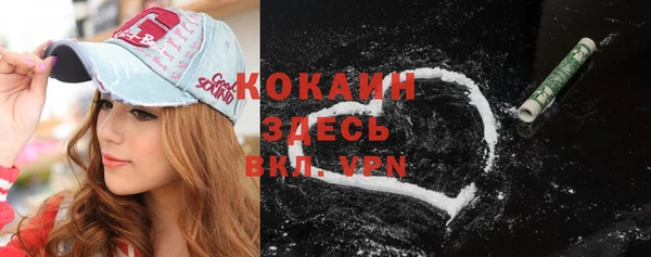 МДПВ Нефтегорск